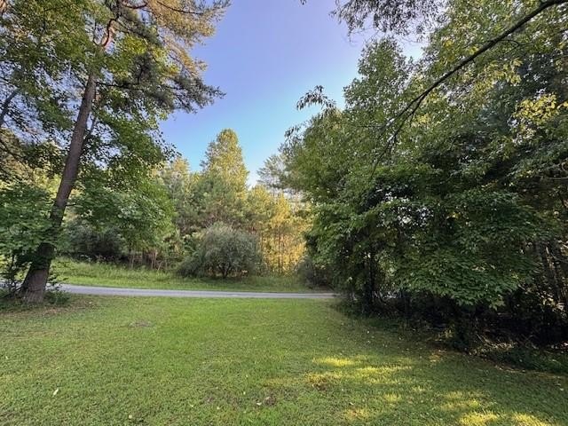 Mineral Bluff Wooded Mountain Lot