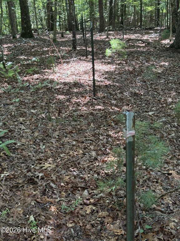 Picture 5