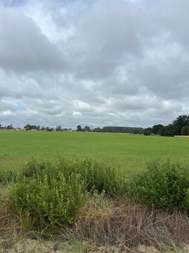 Residential Land in Lindale School