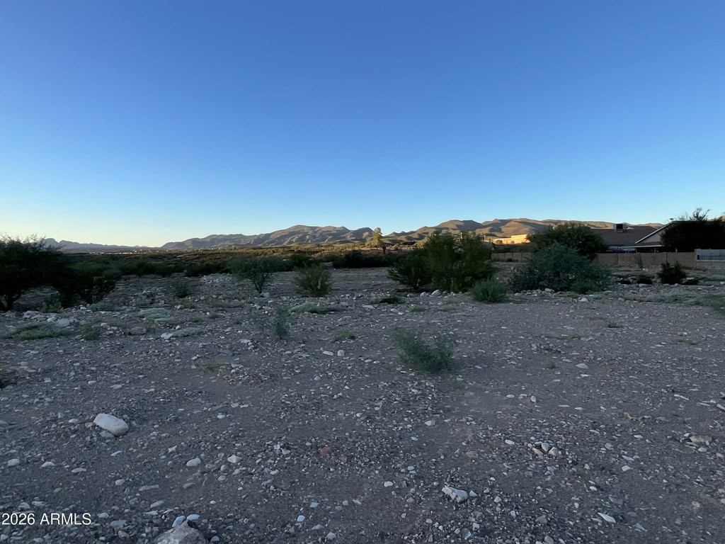 Picture 6