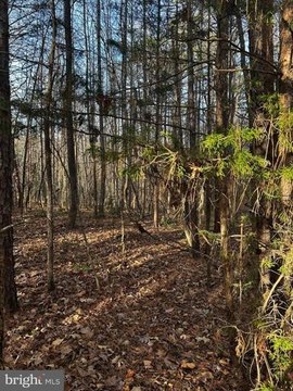 Wooded Land Parcel in Scottsburg