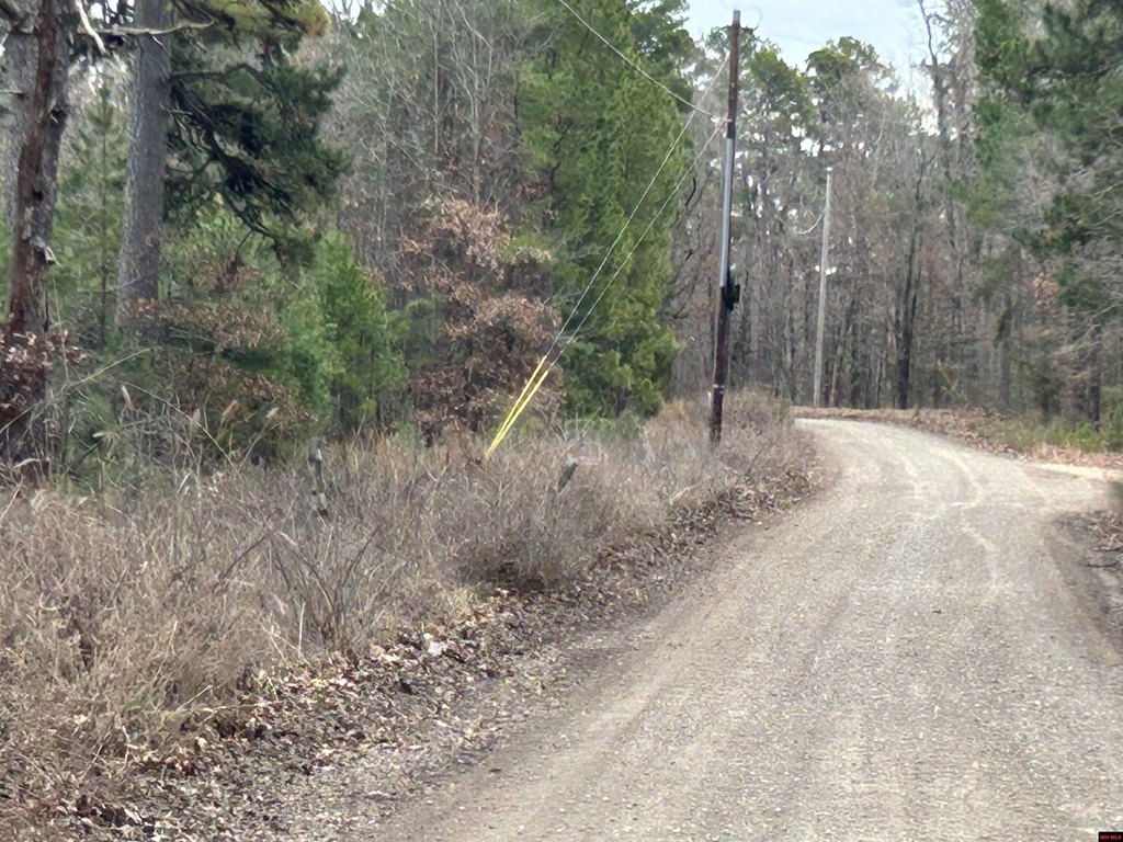 Picture 14