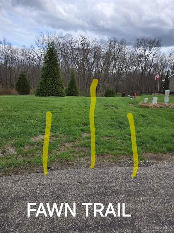 Picture 27