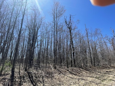 LAND - ELMIRA, MI