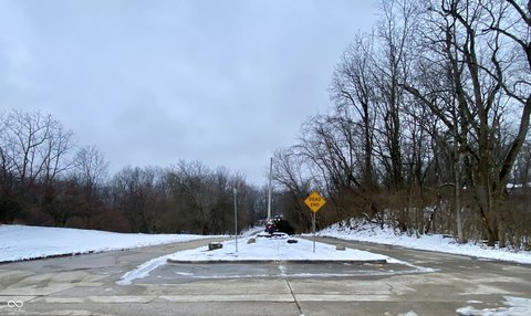 Wooded Lot in Albany, Indiana