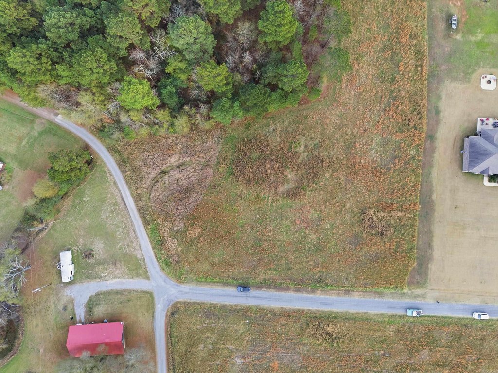 Picture 6