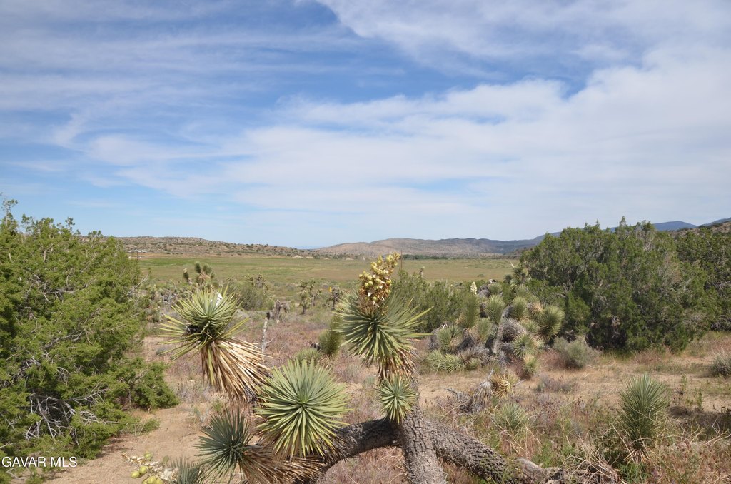 Picture 37