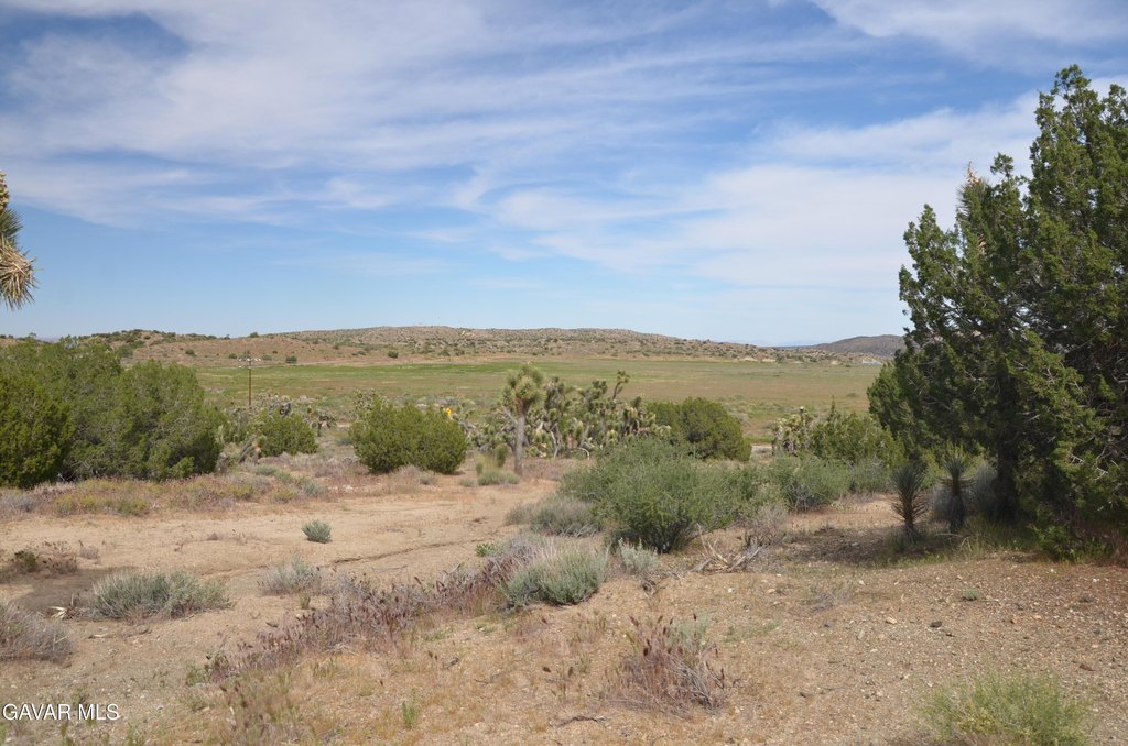 Picture 40