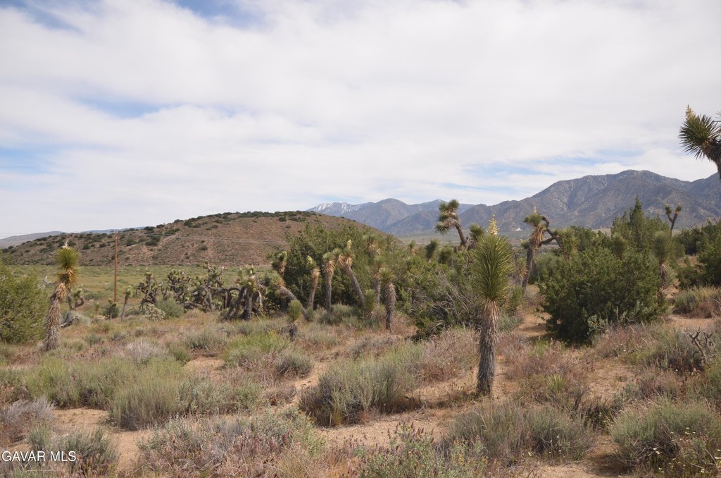 Picture 33