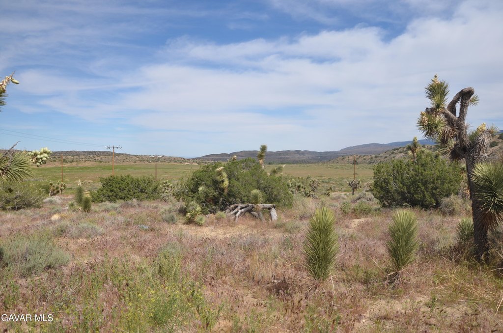 Picture 36