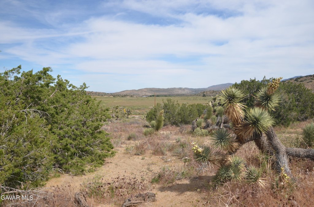 Picture 35