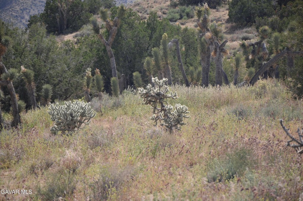 Picture 29