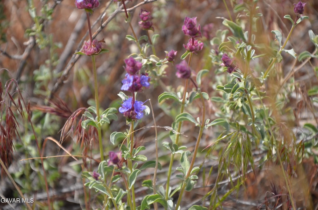 Picture 45