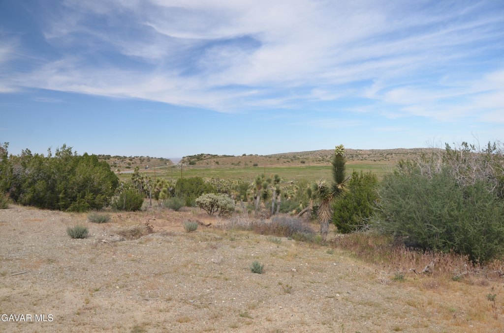 Picture 19