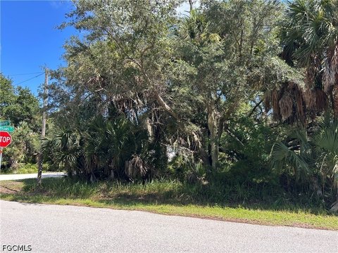 LAND - Punta Gorda, FL