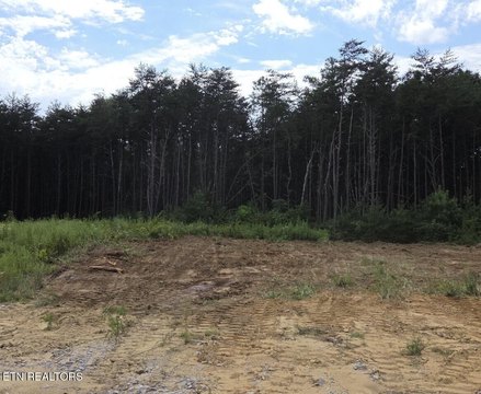 Lots & Acreage, Dunlap, TN