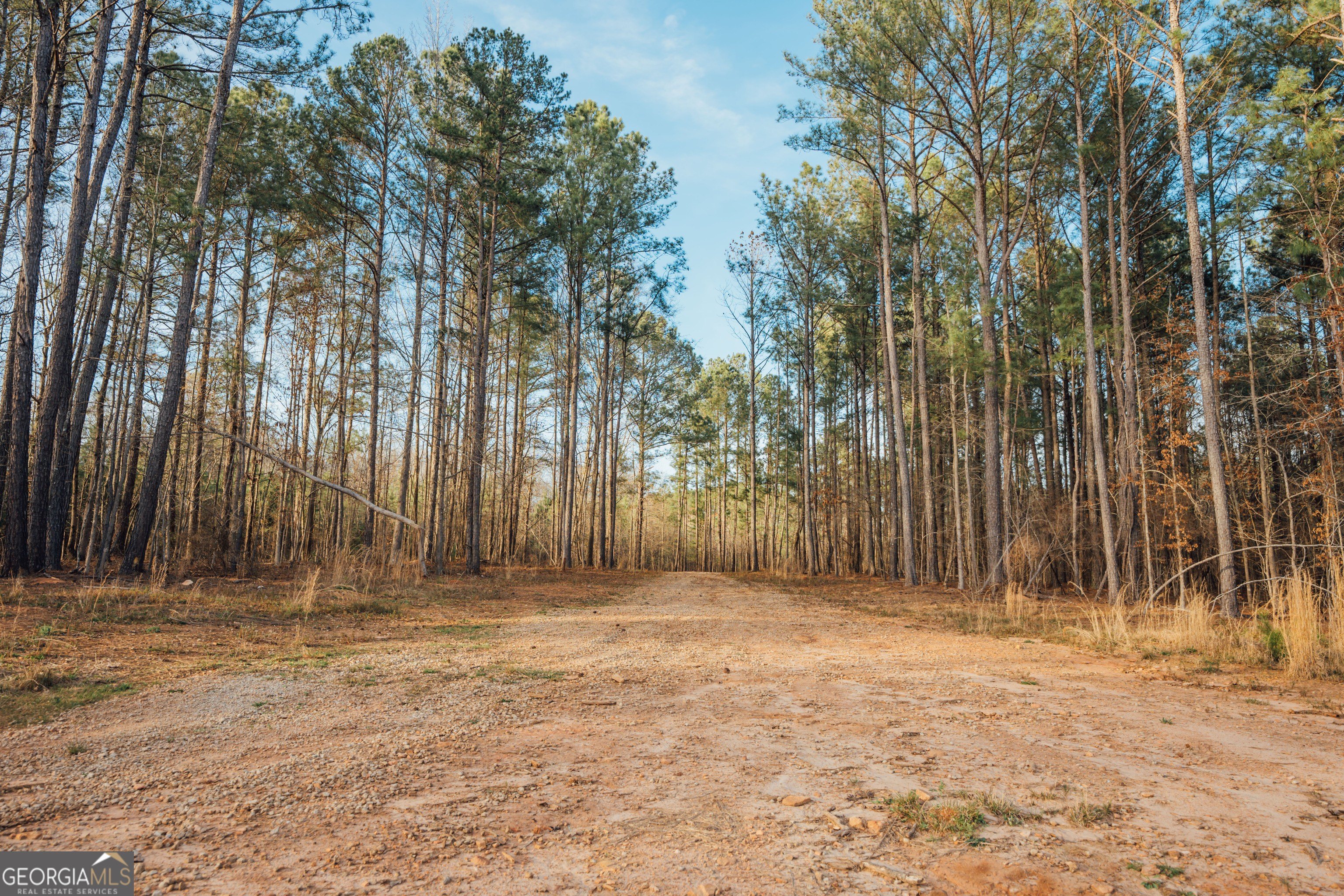 28.61 Acres in Morgan County