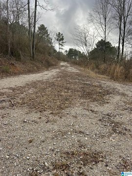 LAND/LOTS, MULGA, AL