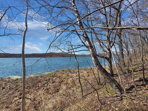 Wooded Waterfront Lake Lot