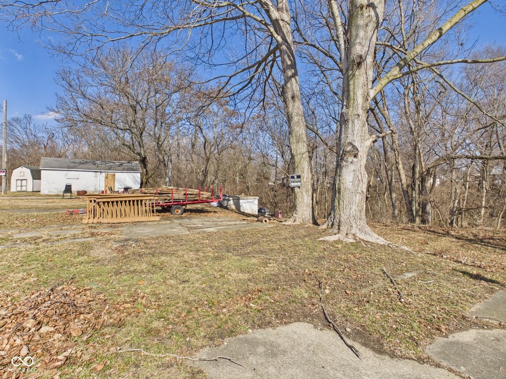 Picture 6