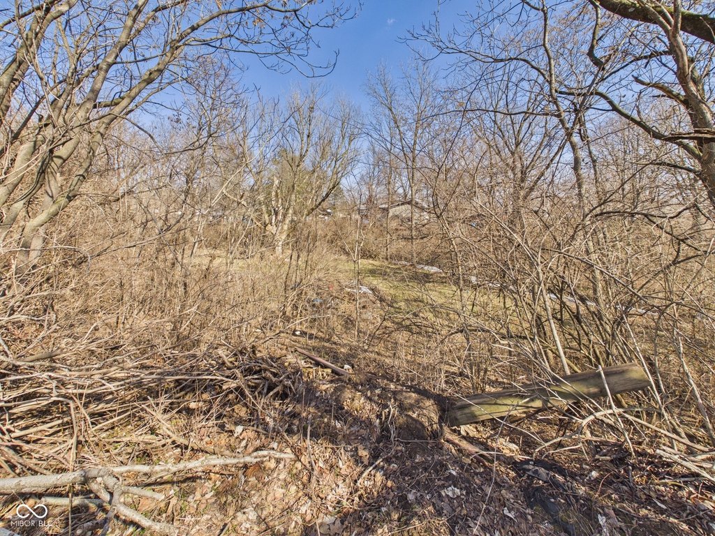Picture 17