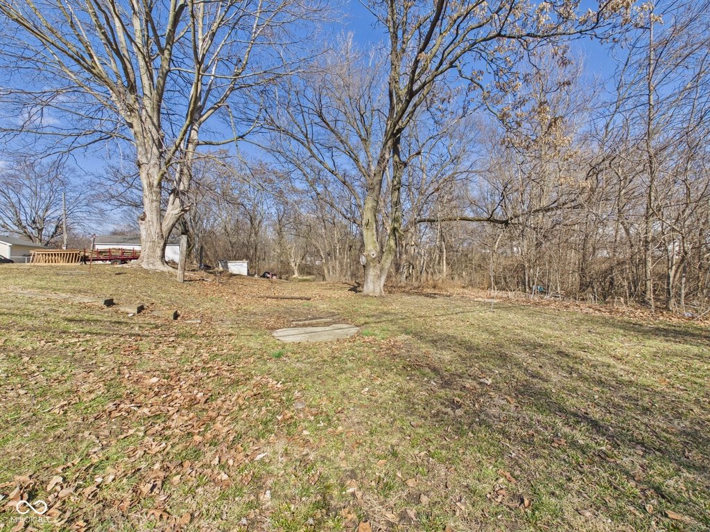 Picture 5