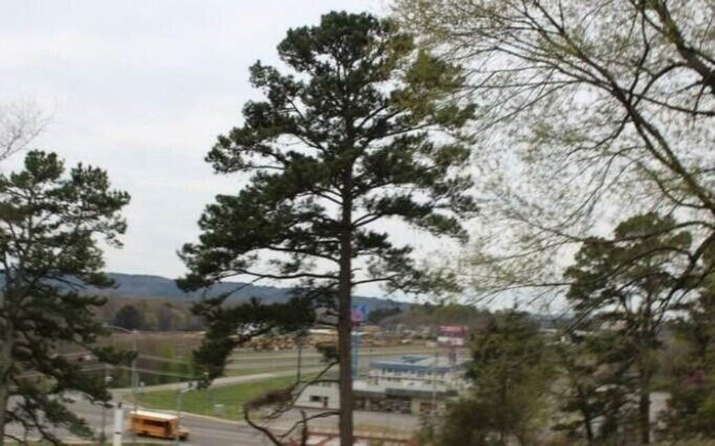Picture 5