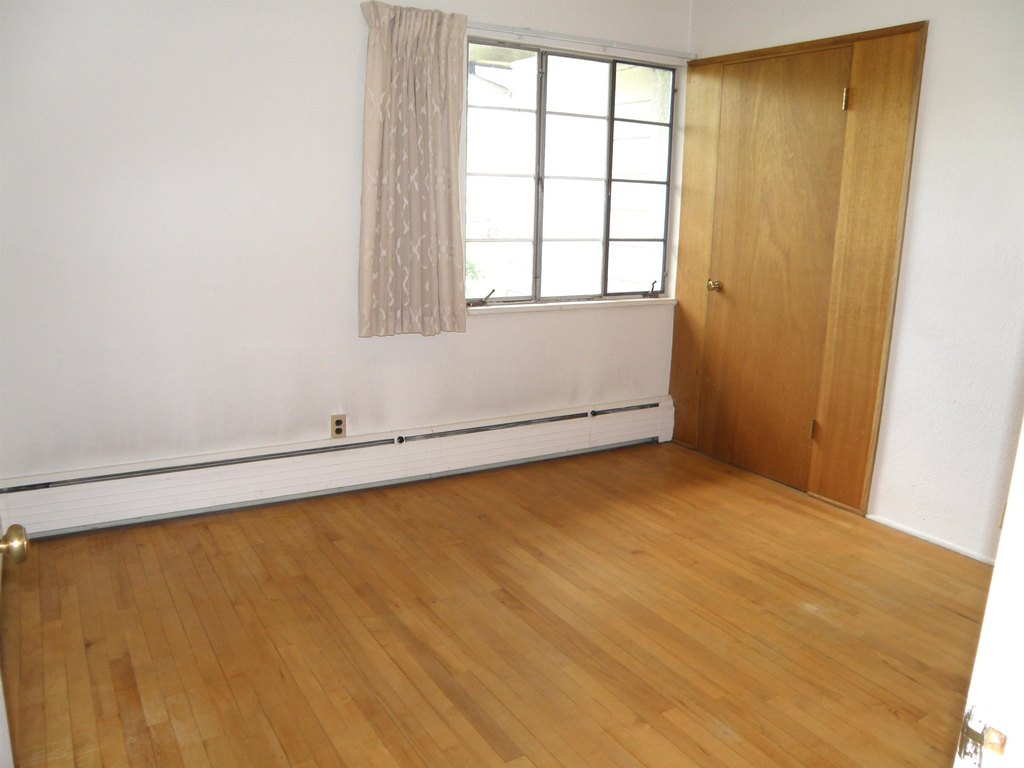 Picture 38