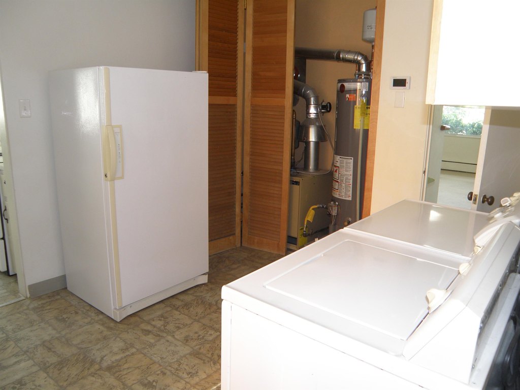 Picture 42