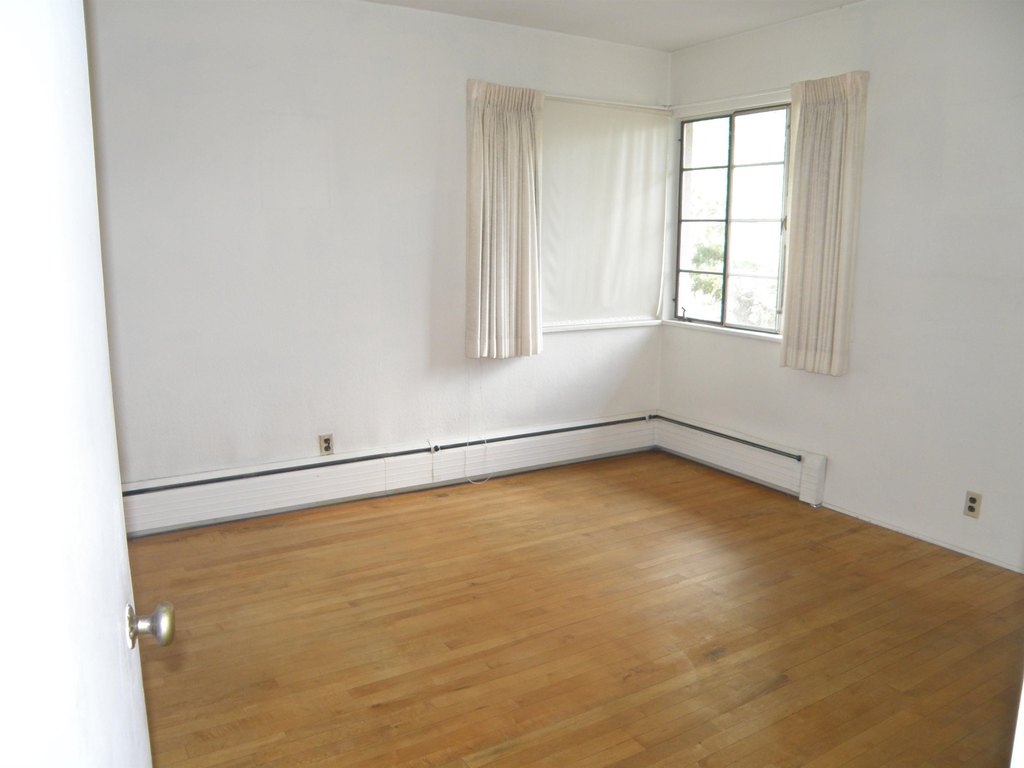 Picture 37