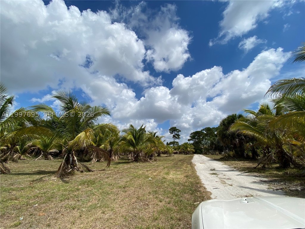 Picture 4