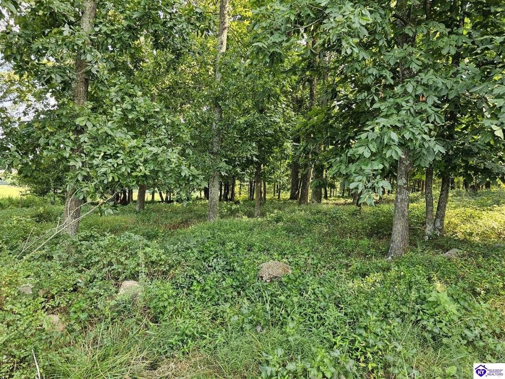 Picture 10