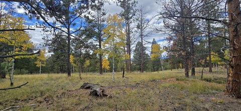 Land in Picturesque Florissant, CO