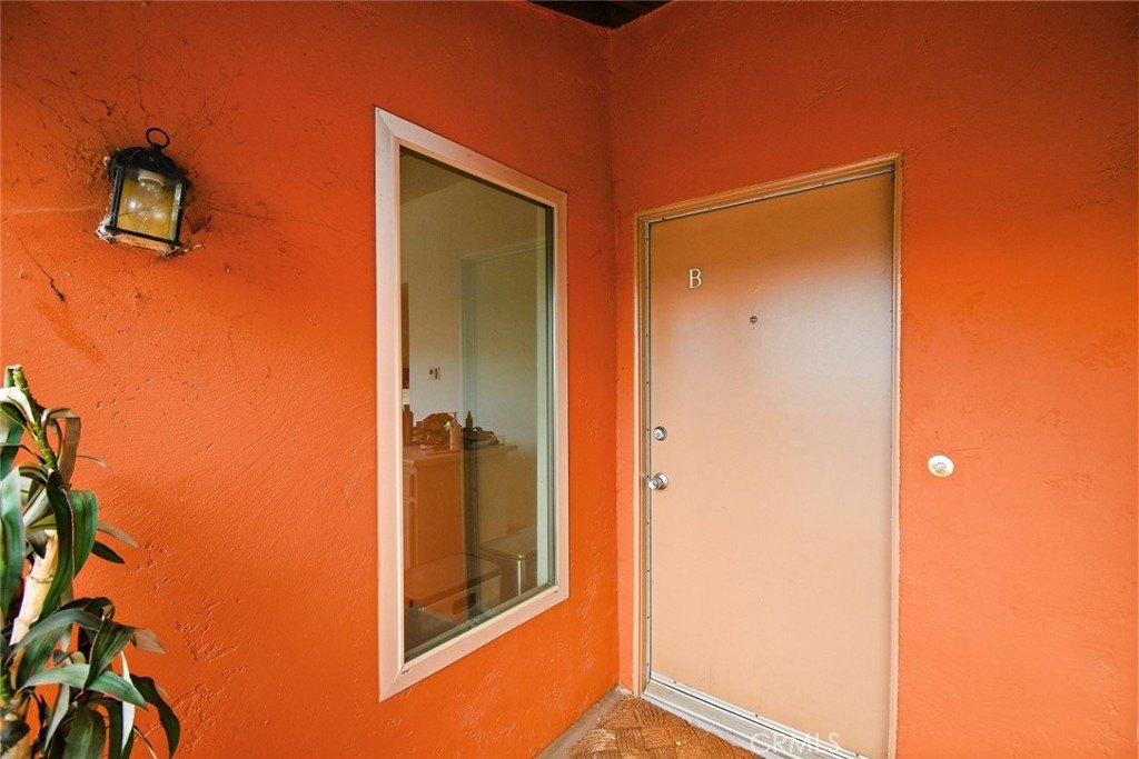 Picture 41