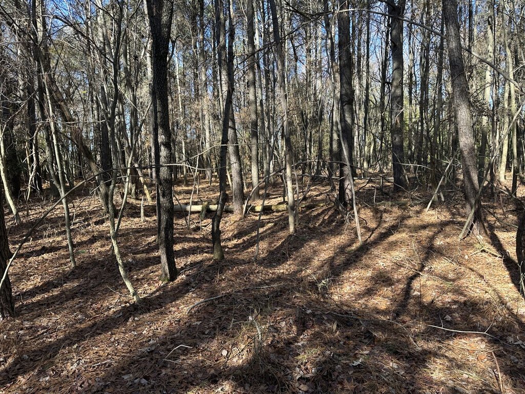 Picture 22