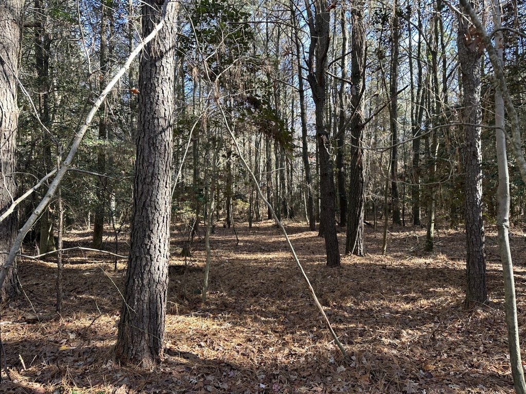 Picture 18
