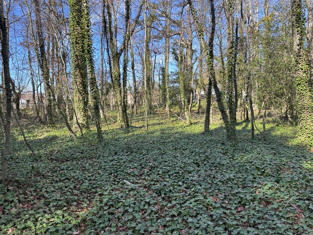 Picture 25