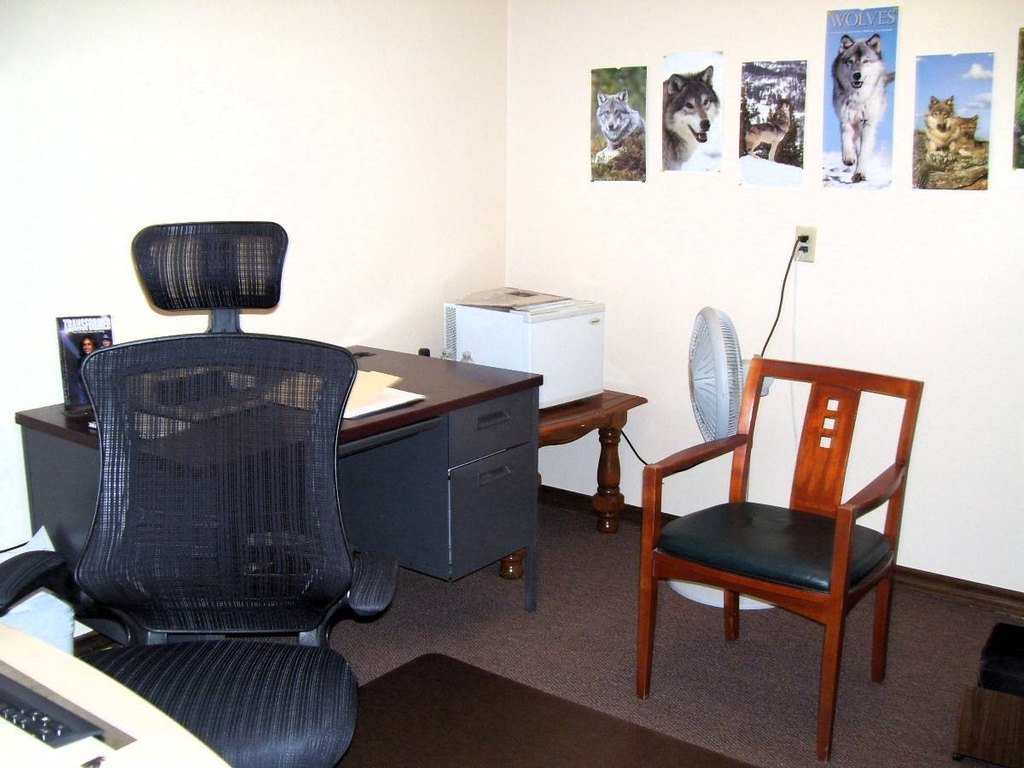 Picture 15