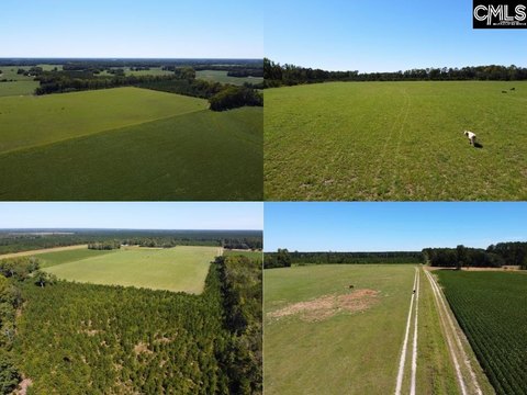 LOTS AND ACREAGE, Hartsville, SC