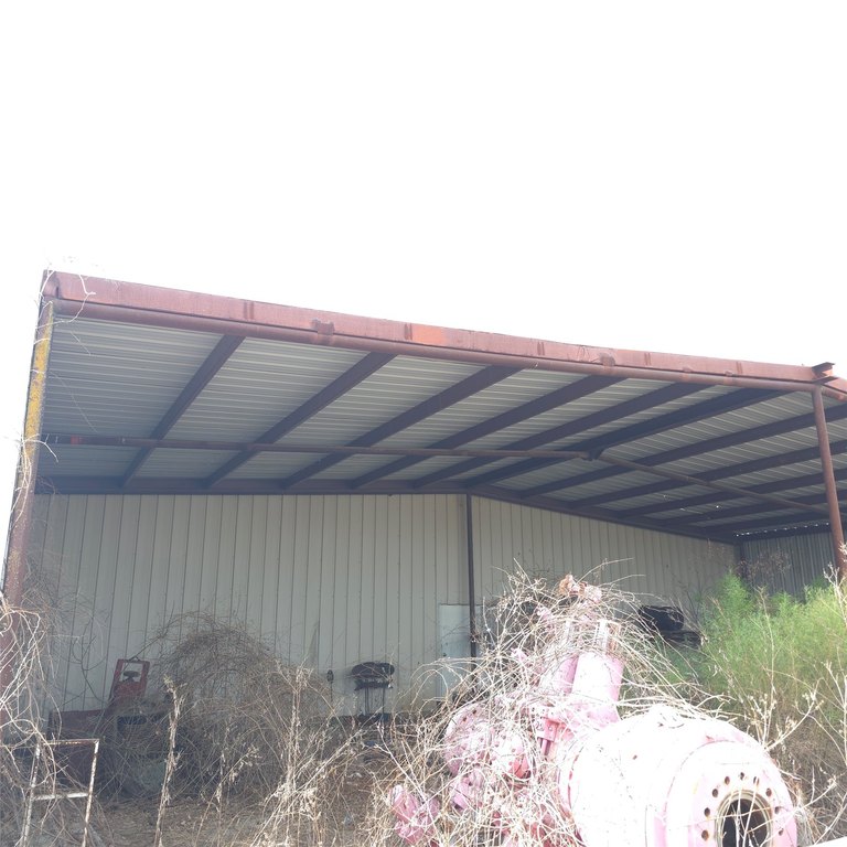 Picture 12