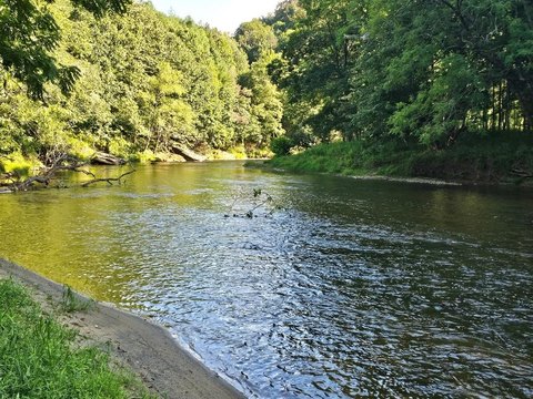Riverfront Lot with Keystone Camper