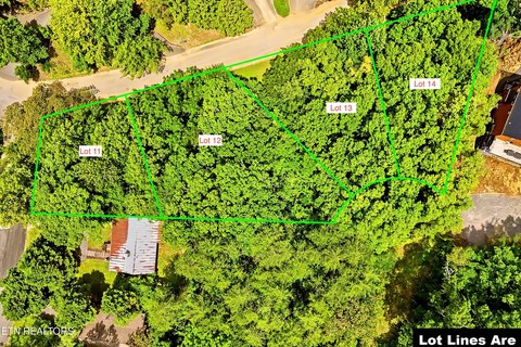 Wooded Residential Building Lot