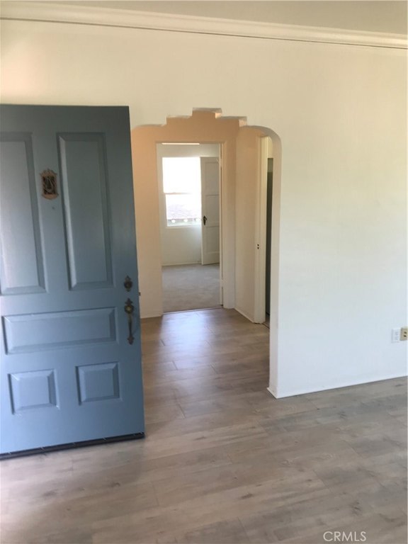 Picture 23