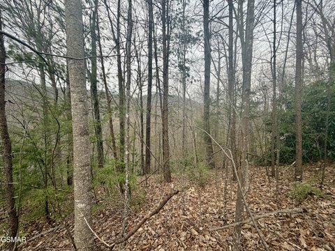 Land, Gatlinburg, TN