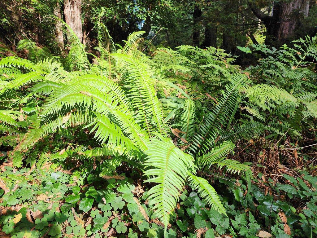 Picture 11