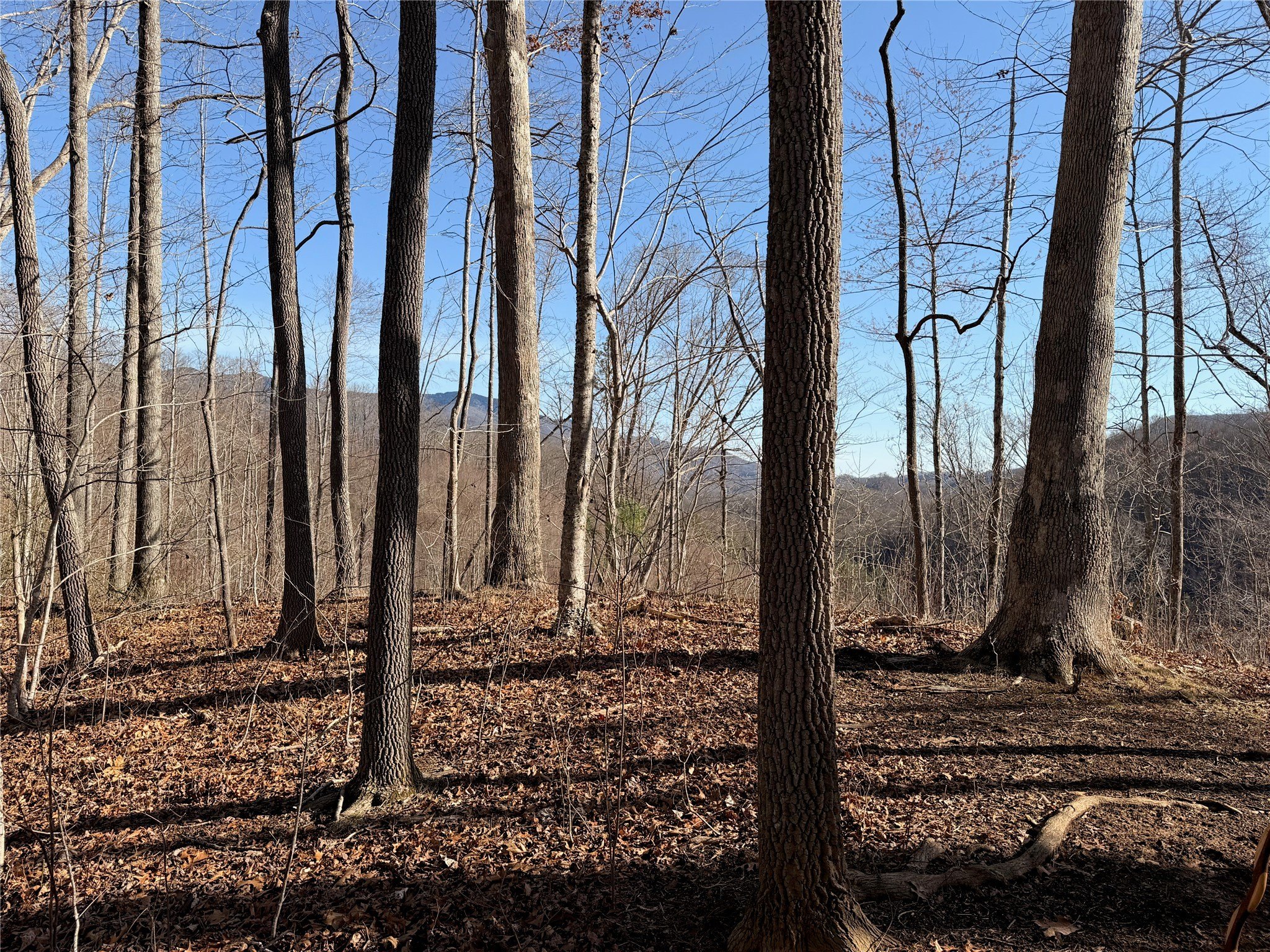 Sylva, NC Mountain Land