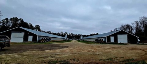 Georgia Poultry Farm with Acreage