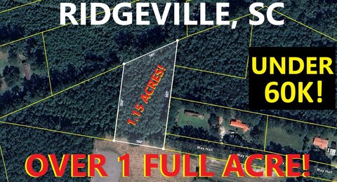 Buildable Agricultural-Residential Lot