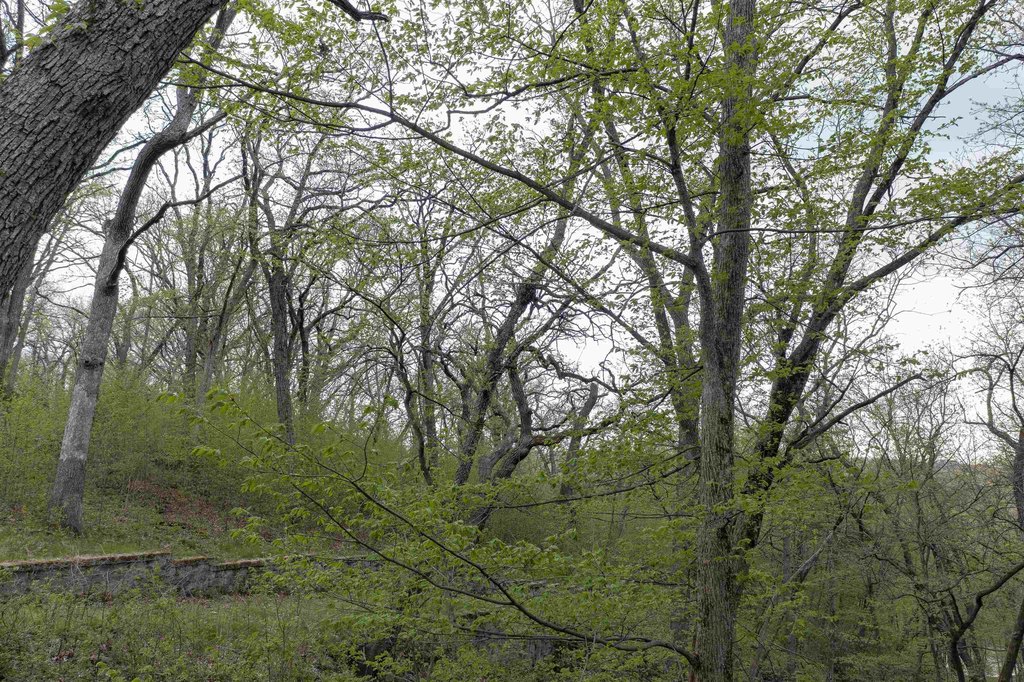 Picture 38