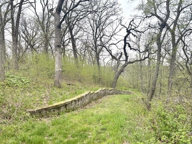 Picture 47